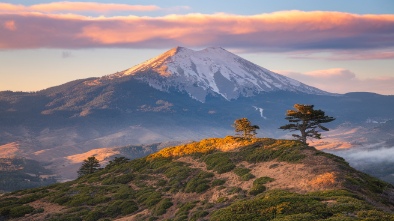 mount tamalpais state park